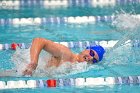 Swimming & Diving vs Babson  Swimming & Diving vs Babson College. - Photo by Keith Nordstrom : Wheaton, Swimming